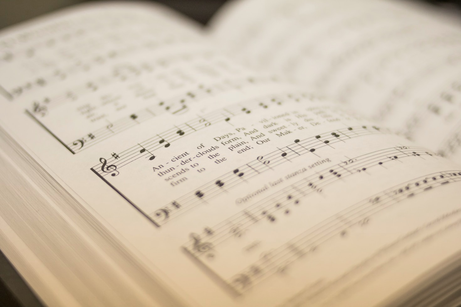 Harmonia entre a arte e o bem-estar